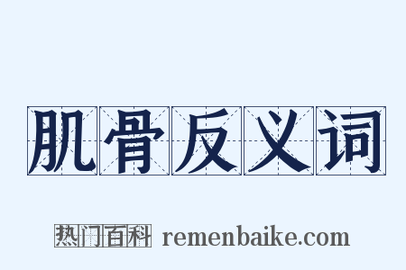 肌骨反义词是什么意思的图片